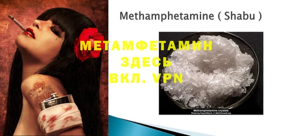 мет Алексин