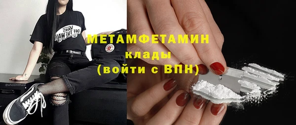 мет Алексин