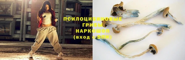 трава Алзамай