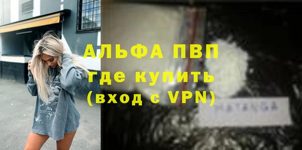 мет Алексин