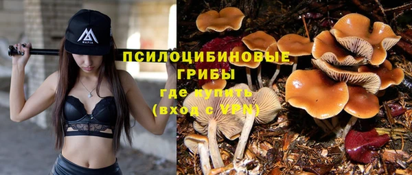 прущая мука Алексеевка