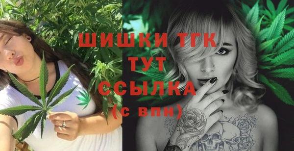 мет Алексин