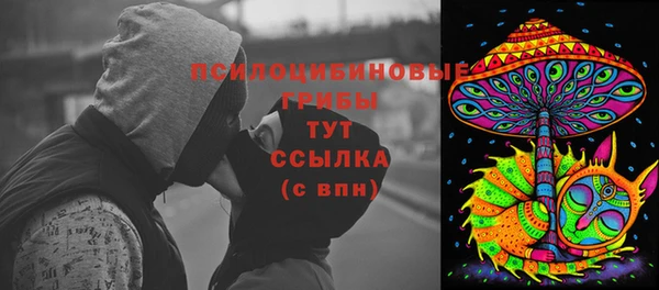 мет Алексин