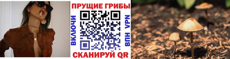 Галлюциногенные грибы Psilocybe  даркнет сайт  Грязи 